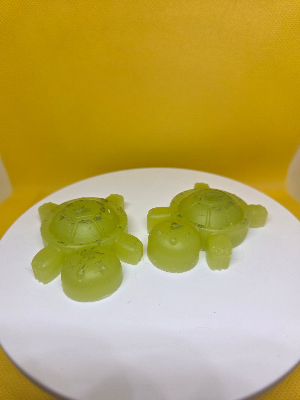 Eucalyptus Turtle Wax Melts (Set of 2)