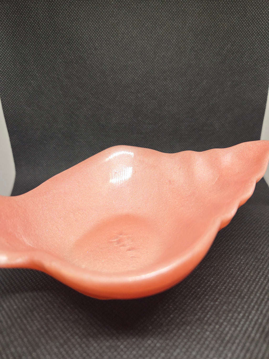 Custom Resin Conch Seashell Bowl