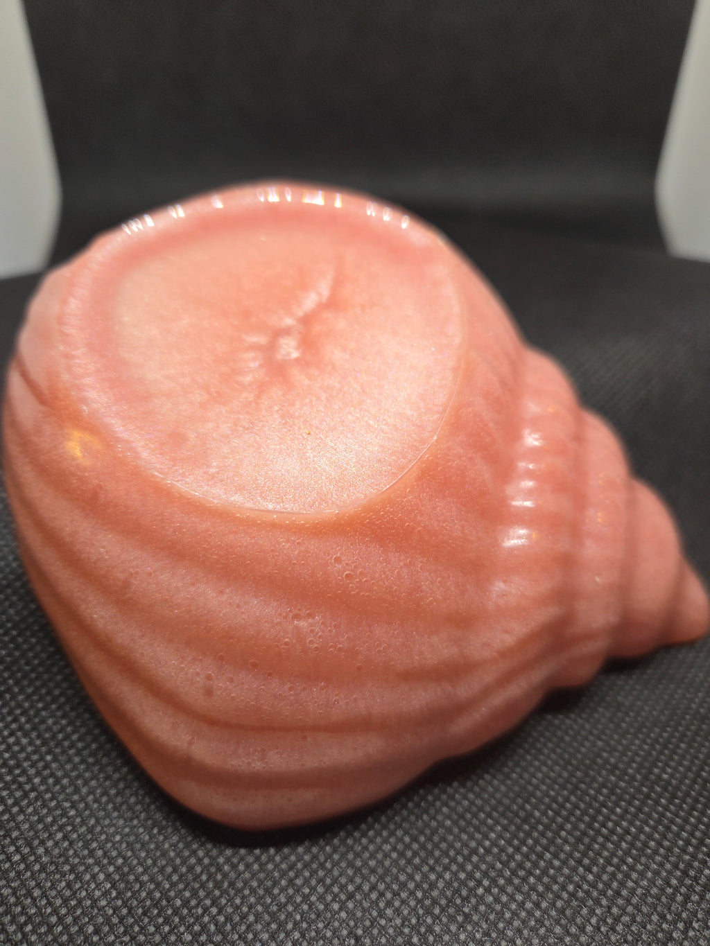 Custom Resin Conch Seashell Bowl